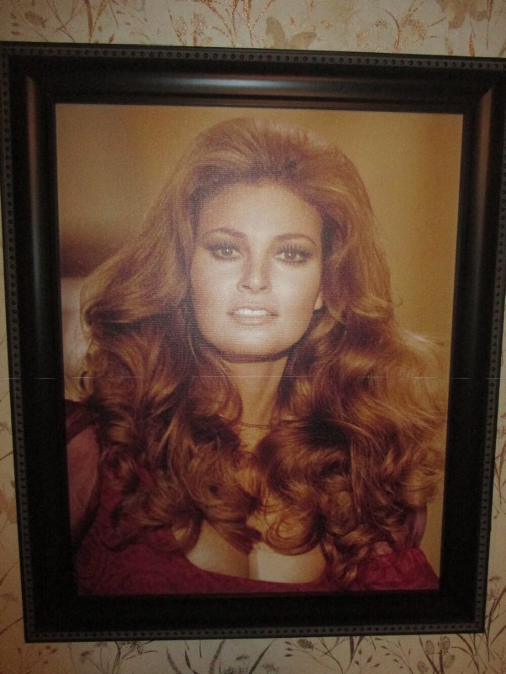 Raquel Welch Framed Canvas